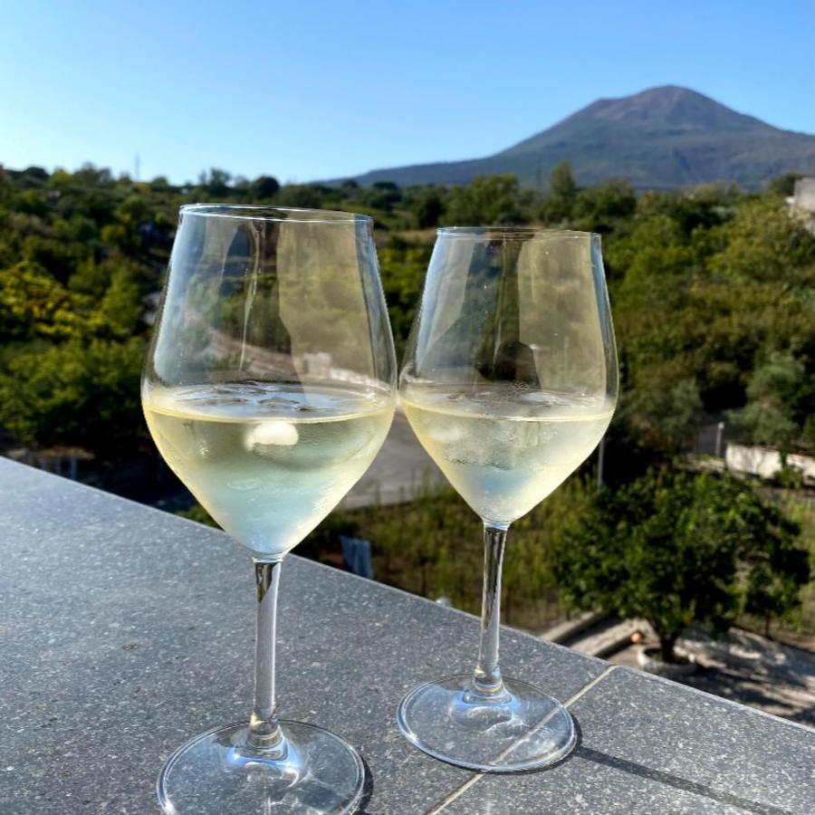 Villa Manzo Relais -Pompei Vesuvius Boscotrecase Bagian luar foto