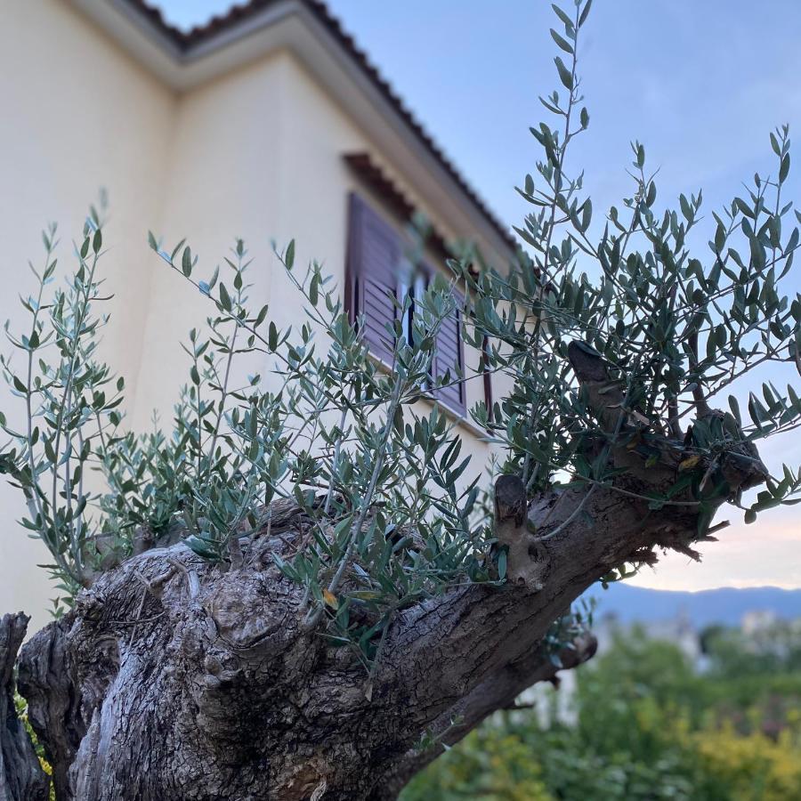 Villa Manzo Relais -Pompei Vesuvius Boscotrecase Bagian luar foto