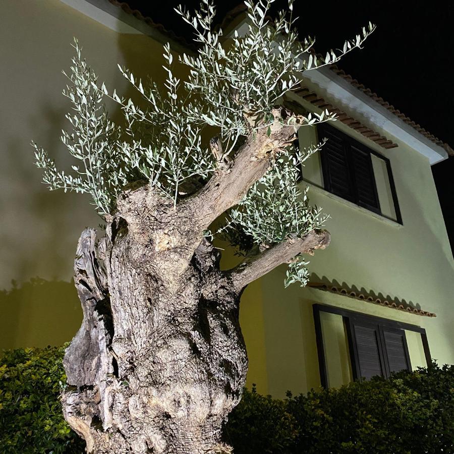 Villa Manzo Relais -Pompei Vesuvius Boscotrecase Bagian luar foto