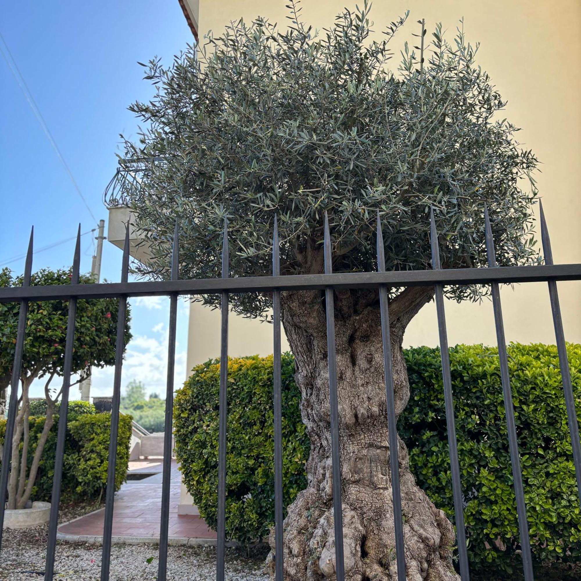 Villa Manzo Relais -Pompei Vesuvius Boscotrecase Bagian luar foto